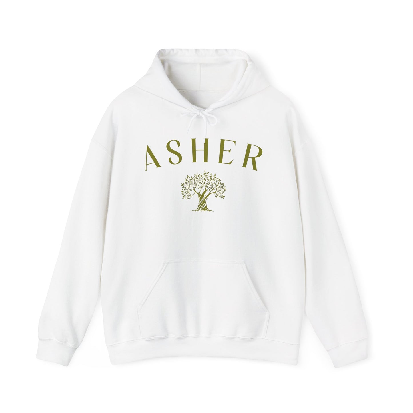 Asher Hoodie