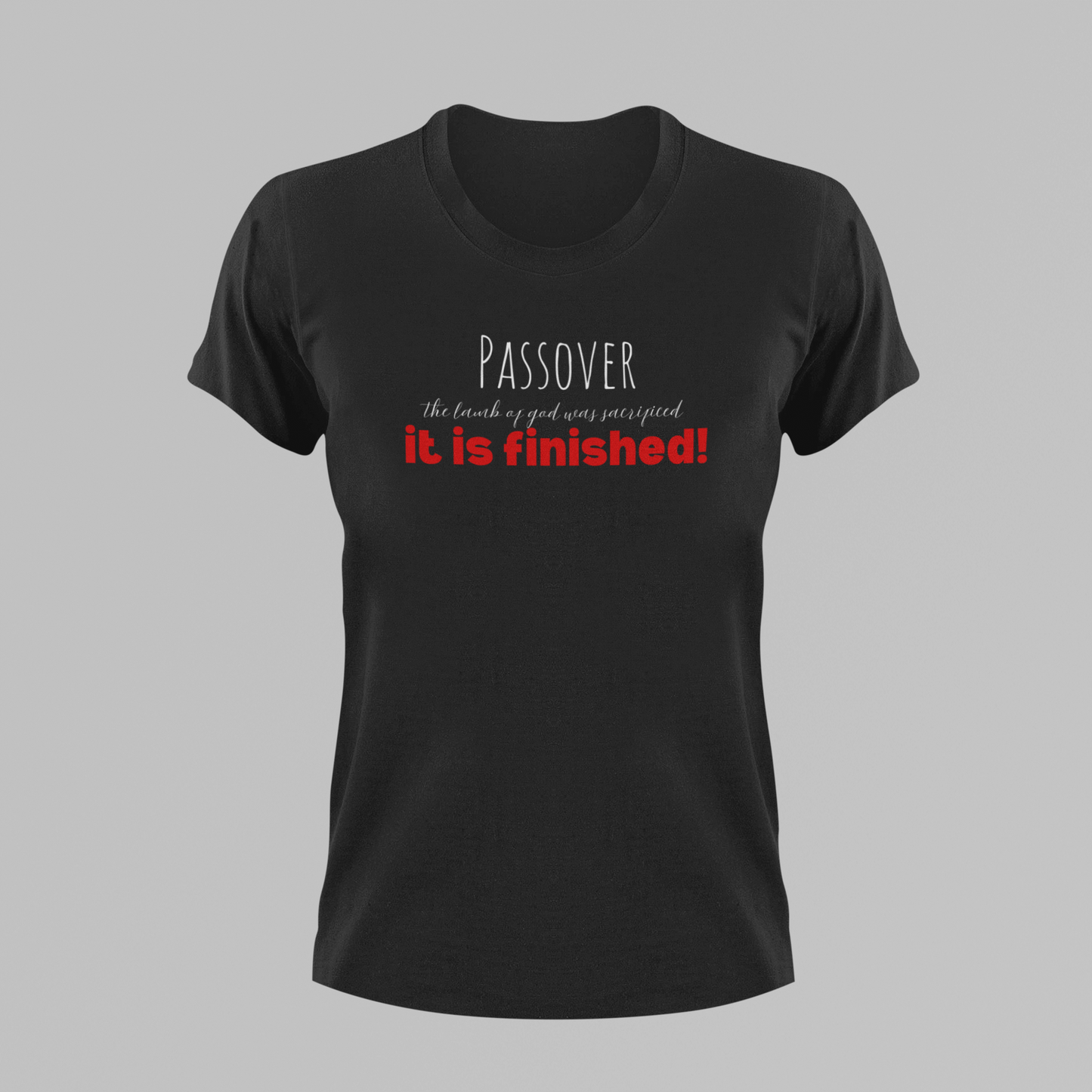 Passover T-Shirt